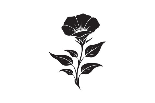 simple moonflower flower black color vector silhouette in white background