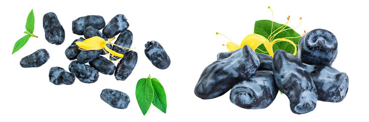 Fresh honeysuckle blue berry isolated on white background with full depth of field. Top view. Flat...