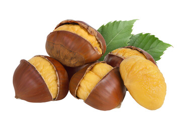 roasted peeled chestnut isolated on white background wit full depth of field.