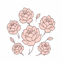 pattern with pink roses