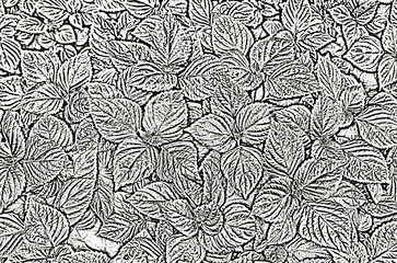 Illustration of a background in black and white with the image of foxes.