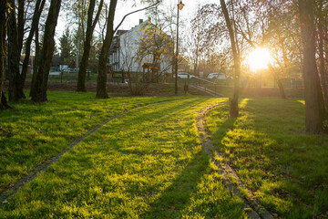 Fototapeta premium Sunlit Pathway in an Autumn Park
