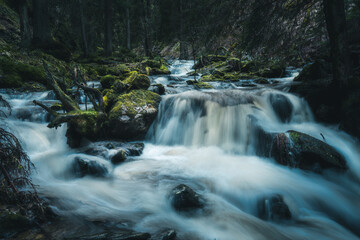 There is a small and picturesque waterfall located in the middle of a forest