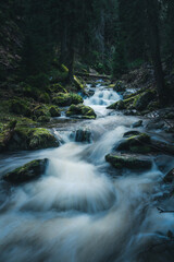 A peaceful river gently flowing through a lush, green forest area