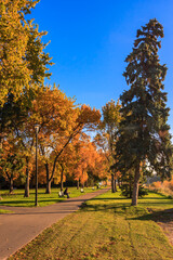 A park with a path and trees with leaves on the ground
