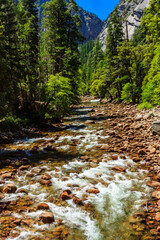 A river with a rocky bed and trees in the background