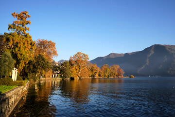 Autumn leaves on the lake