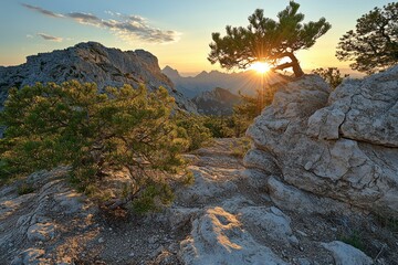 Obraz premium Mountain Sunset With Pine Trees And Rocks