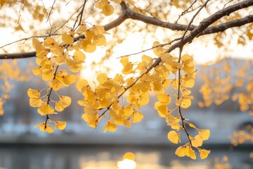 Bright yellow leaves glistening in the sunlight near a tranquil body of water during autumn