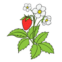 Illustration of a Colorful Strawberry Bush with Berries, Flowers and Leaves