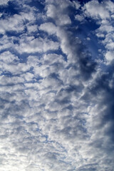 Cirrus cloud in the sky at sunset time. Abstract color composition for the background.