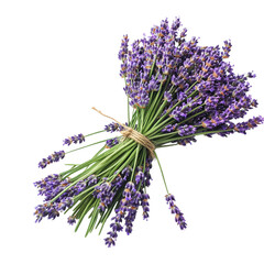 Bunch of lavender isolated on a transparent background, empty blank png background