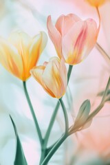 Naklejka premium Delicate Pastel Abstract Background with Floral Patterns for Elegant Spring Branding