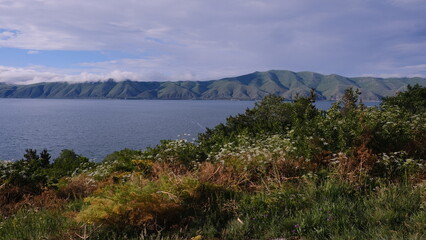 The breathtaking coastal landscape showcases vibrant greenery and serene calm waters under a beautiful cloudy sky