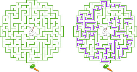Help bunny pass through circular maze to find carrot. Feed the hungry pet labyrinth. Medium difficulty riddle for kids and parents with solution