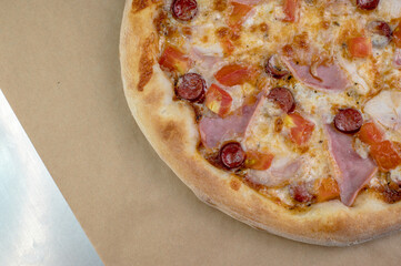 details of the pizza application; juicy pizza from the oven with mushrooms, tomatoes and bacon and sprinkled with parmesan cheese
