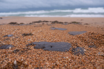 Fuel oil stains on the Black Sea coastline. Environmental disaster, environmental pollution. Oil spill