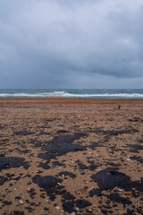 Fuel oil stains on the Black Sea coastline. Environmental disaster, environmental pollution. Oil spill