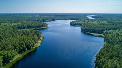 Fototapeta premium Serene Lake and Lush Forest Landscape