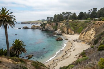 Coastal View of China Cove in California