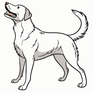 black and white puppy clipart