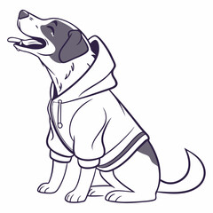 Dog in a hoodie on white background