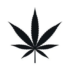 A cannabis leaf against a white background.