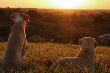 Atardecer Llanero