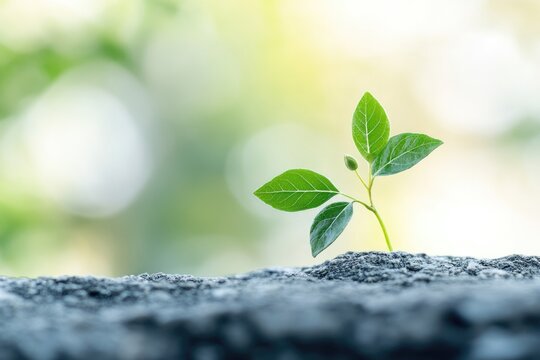 Exciting New Projects: Initiatives to Kickstart Your Career and Fuel Ambition