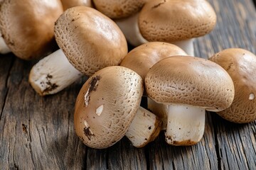 Bountiful Harvest: Close-Up of Delicious Enokitake Edible Fungi Amongst the Lush Forest Floor