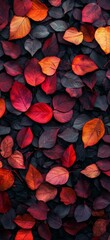 Autumn Foliage in Vibrant Shades of Red, Orange, and Purple Covering a Textured Ground During the Fall Season Adds Natural Beauty to the Environment