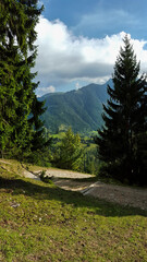 Fototapeta premium The way to the Wendelstein mountain in Bavaria. Mountains with forests, blue sky and sunshine.