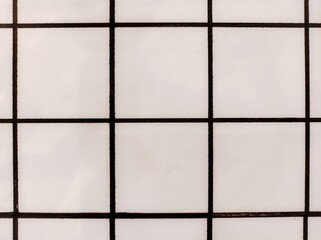 Closeup surface detail of white ceramic tile pattern design in the form of aligned squares bordered by black grid lines.