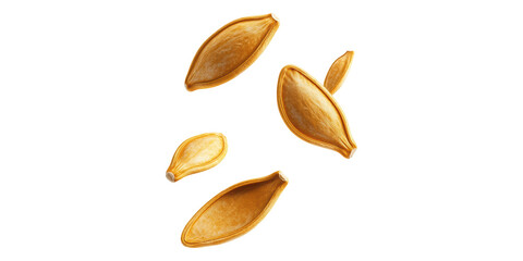 Floating pumpkin seeds isolated on transparent background