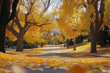 Naklejka premium Golden Autumn Leaves Line a Scenic Roadway