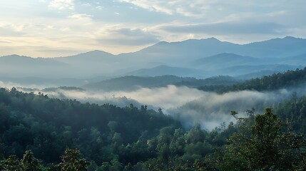 Obraz premium The mountains are covered in fog and the sky is cloudy