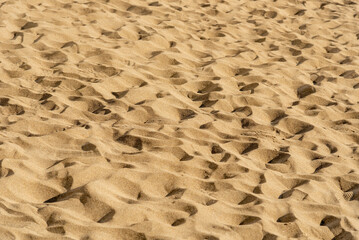 Desert landscape, sandy orange dunes, sunny wilderness