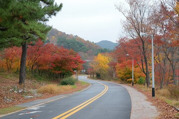 Fototapeta premium Autumn Road Winding Through Colorful Foliage Hills