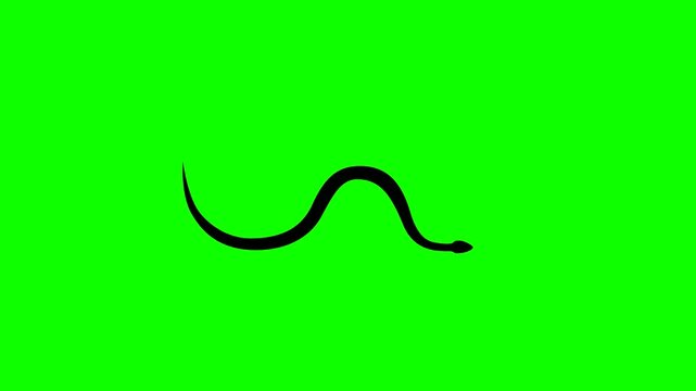 Animation with a snake on the green background (seamless loop)