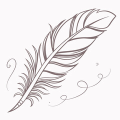 Obraz premium illustration of a feather