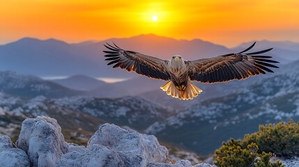 Fototapeta premium Majestic Eagle Soaring Above Mountain Sunset