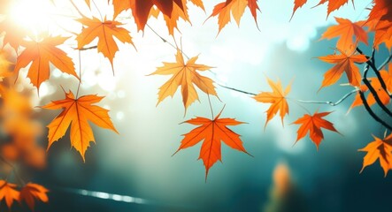 Autumn maple leaves, golden orange foliage, sunlight streaming through trees, misty forest background, ethereal atmosphere, dreamy bokeh, soft focus, vibrant fall colors, nature photography, shallow d