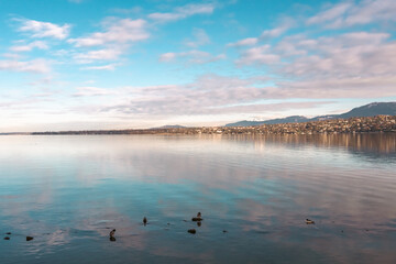 Naklejka premium le lac de Genève en hiver
