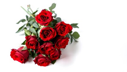 Bouquet of Red Roses on White Background
