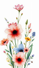 Flowers watercolor illustration.Manual composition.Big Set watercolor elements, flat design, with white tones