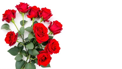 Vibrant Bouquet of Red Roses with a Clean White Background