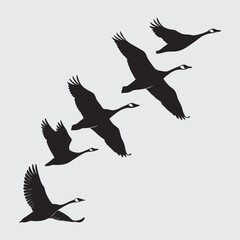 Geese image silhouette vector art and illustration
