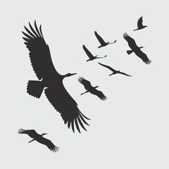 Many kinds of birds flying  image silhouette vector art and illustration