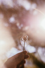 hand holding a bubble