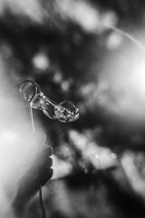 child playing with bubbles